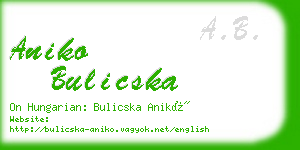 aniko bulicska business card